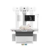 Raigs X digitals veterinaris